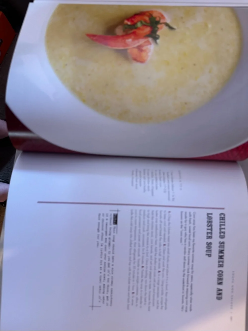 The Great Lobster Cookbook - Red Cookbook by Matt dean pettit. 🦞🦞🦞🦞🦞🦞